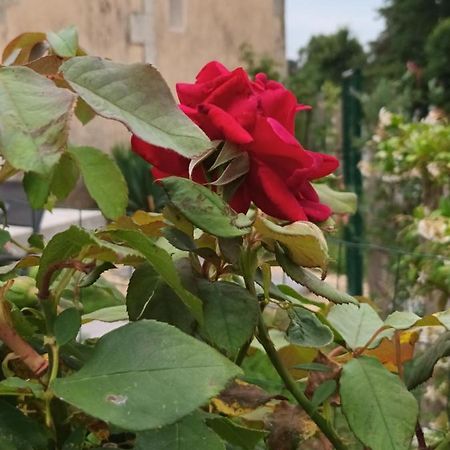 Gite Aux Vieux Bois Lunas  エクステリア 写真