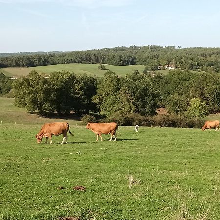 Gite Aux Vieux Bois Lunas  エクステリア 写真