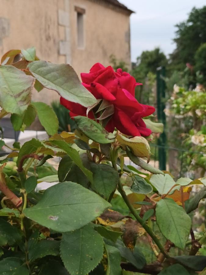 Gite Aux Vieux Bois Lunas  エクステリア 写真